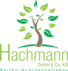 Hachmann GmbH & Co. KG Garten- und Landschaftsbau - Ihr Experte für grüne Oasen